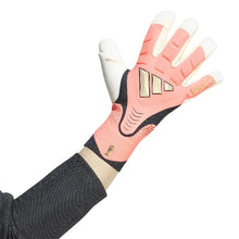 Load image into Gallery viewer, Adidas Predator Pro Hybrid Goalkeeper Gloves