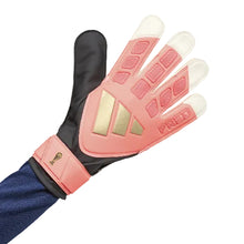 Load image into Gallery viewer, Adidas Predator Training Goalkeeper Glove