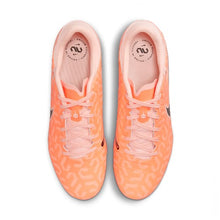 Load image into Gallery viewer, Nike Mens Tiempo Legend 10 Academy FG