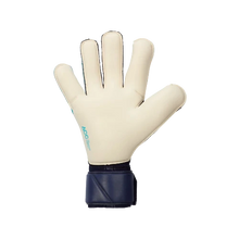 Load image into Gallery viewer, Nike Vapor Grip 3 GK Gloves
