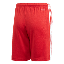 Load image into Gallery viewer, Adidas Youth Squadra 21 Shorts