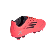 Load image into Gallery viewer, Adidas Jr F50 Club FG