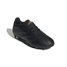 Load image into Gallery viewer, Adidas Jr Predator Club FxG