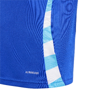 Load image into Gallery viewer, Adidas Youth Argentina 2024 Away Jersey