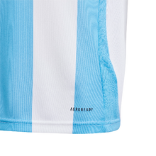 Load image into Gallery viewer, Adidas Youth Argentina 2024 Home Jersey