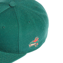 Load image into Gallery viewer, Adidas Mexico Snapback Cap Hat