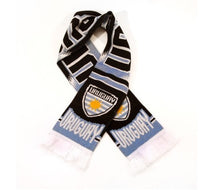 Load image into Gallery viewer, International Team Scarf