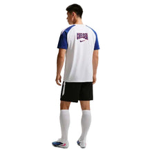 Load image into Gallery viewer, Nike Men's Chelsea FC Training Strike Third Top
