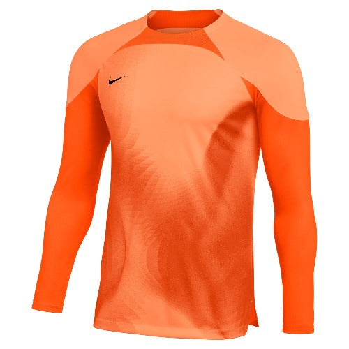 Nike Dri-FIT ADV Gardien 4 Goalkeeper