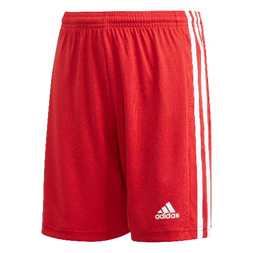 Adidas Youth Squadra 21 Shorts