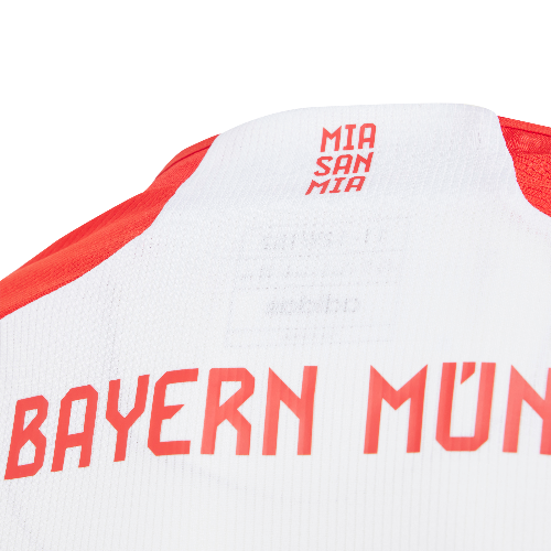 Adidas Men's FC Bayern Munich 23/24 Tiro Training Jersey – Springfield &  Woodbridge Soccer Supplies