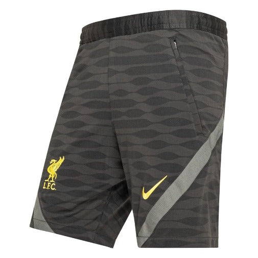 Nike Men's Liverpool F.C. Training Shorts