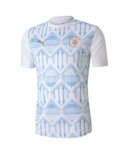 Puma Men's Man City 20/21 Stadium Jersey